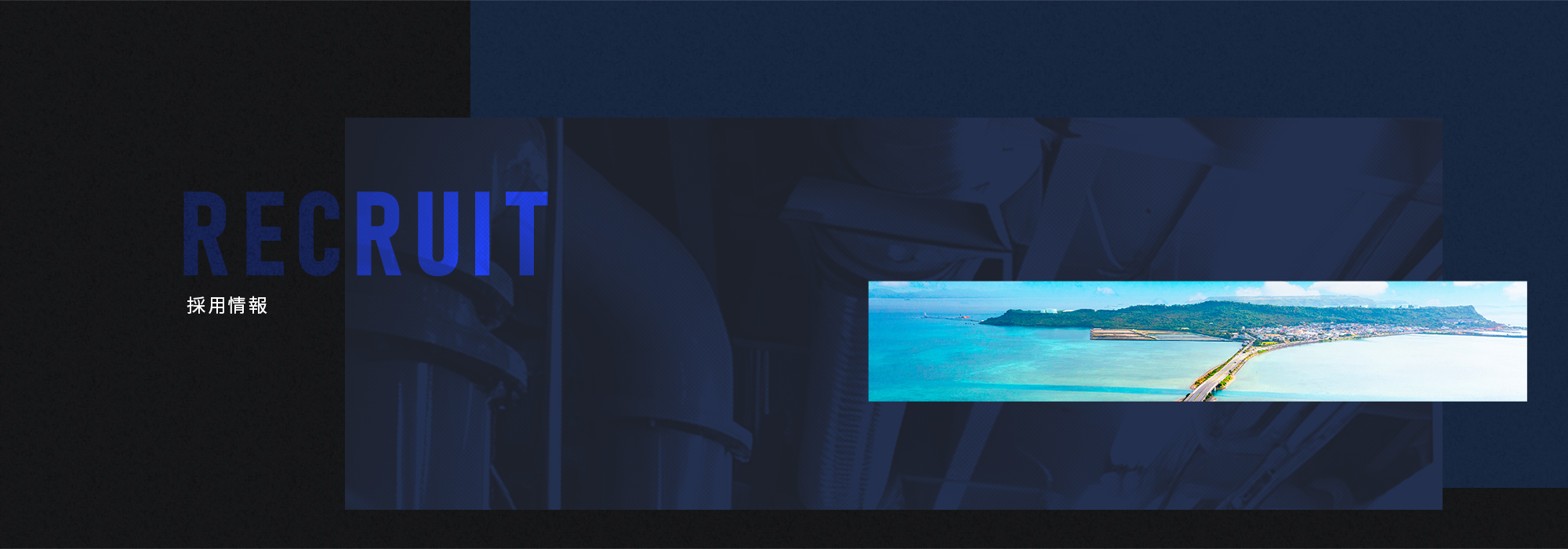 採用情報